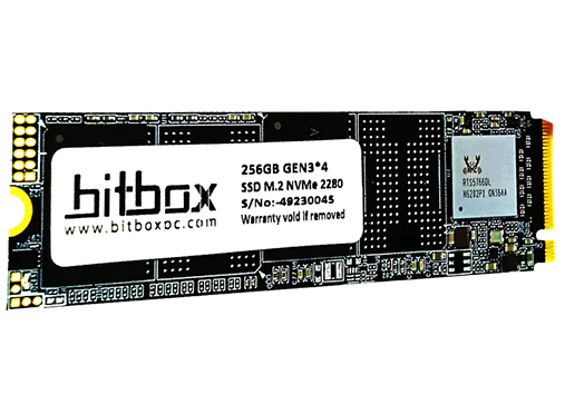BitBox NVME 256GB SSD_image2